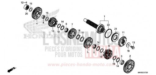 GETRIEBE (GEGENWELLE) (CRF1000D/D2/DL/DL2) CRF1000DK de 2019